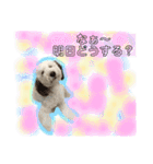 #さくらさんの癒しキャラ（個別スタンプ：1）