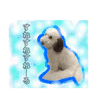 #さくらさんの癒しキャラ（個別スタンプ：5）