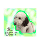 #さくらさんの癒しキャラ（個別スタンプ：7）