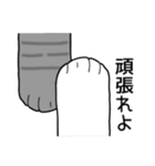 もふっと伝わるにゃんこの言葉（個別スタンプ：3）