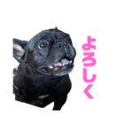 フレブルの小桃ちゃん（個別スタンプ：1）