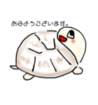 リクガメの気持ち（個別スタンプ：1）