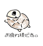 リクガメの気持ち（個別スタンプ：8）