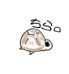 リクガメの気持ち（個別スタンプ：9）
