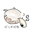 リクガメの気持ち（個別スタンプ：14）