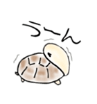 リクガメの気持ち（個別スタンプ：17）