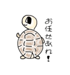 リクガメの気持ち（個別スタンプ：20）