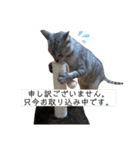 新入り！ぎんたろす 2（個別スタンプ：6）