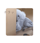 nico to ciel（個別スタンプ：4）