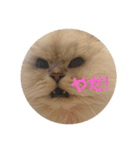 ライチくんのあいさつ（個別スタンプ：7）