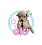 @NICORIA（個別スタンプ：2）