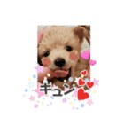 @NICORIA（個別スタンプ：3）