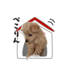 @NICORIA（個別スタンプ：8）