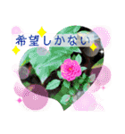 ちひろのおやつスタンプ（個別スタンプ：4）
