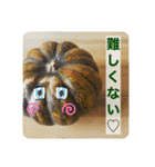 ちひろのおやつスタンプ（個別スタンプ：11）