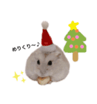 ハムちゃんズ！！！（個別スタンプ：8）