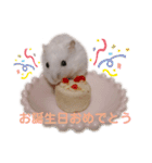 ハムちゃんズ！！！（個別スタンプ：9）