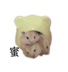 ハムちゃんズ！！！（個別スタンプ：10）
