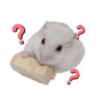 ハムちゃんズ！！！（個別スタンプ：11）