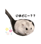 ハムちゃんズ！！！（個別スタンプ：14）