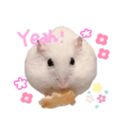 ハムちゃんズ！！！（個別スタンプ：16）