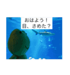 かえると帰ろ♪（個別スタンプ：6）