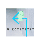 かえると帰ろ♪（個別スタンプ：12）