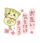 大人可愛い❇︎はんなり抹茶色の猫❇︎その2（個別スタンプ：32）