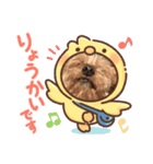 ヨーキー蓮くん（個別スタンプ：4）