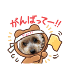 ヨーキー蓮くん（個別スタンプ：6）