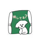 こあらさん・日々のスタンプ（個別スタンプ：35）