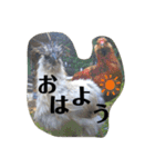 やなお家の愉快などうぶつたち①（個別スタンプ：4）