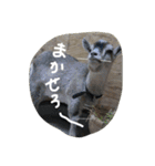 やなお家の愉快などうぶつたち①（個別スタンプ：18）