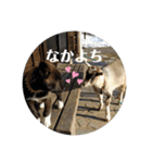 やなお家の愉快などうぶつたち①（個別スタンプ：23）