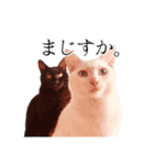 うにとすあま《ドライ編》（個別スタンプ：1）