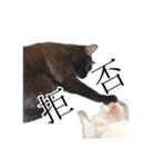 うにとすあま《ドライ編》（個別スタンプ：2）