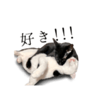 うにとすあま《ドライ編》（個別スタンプ：3）