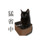 うにとすあま《ドライ編》（個別スタンプ：4）