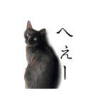 うにとすあま《ドライ編》（個別スタンプ：7）