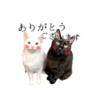 うにとすあま《ドライ編》（個別スタンプ：10）