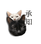 うにとすあま《ドライ編》（個別スタンプ：14）