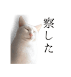 うにとすあま《ドライ編》（個別スタンプ：15）