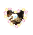 りんちゃん★★★（個別スタンプ：7）