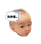 おうちゃんスタンプその3（個別スタンプ：15）
