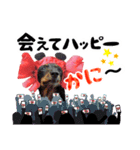 ミニチュアダックスのゆるっとラッキー③（個別スタンプ：1）