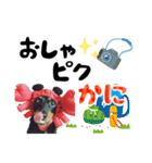 ミニチュアダックスのゆるっとラッキー③（個別スタンプ：7）