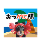 ミニチュアダックスのゆるっとラッキー③（個別スタンプ：8）