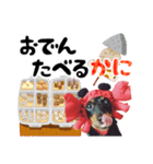 ミニチュアダックスのゆるっとラッキー③（個別スタンプ：10）