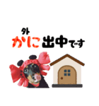 ミニチュアダックスのゆるっとラッキー③（個別スタンプ：12）