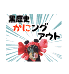 ミニチュアダックスのゆるっとラッキー③（個別スタンプ：14）
